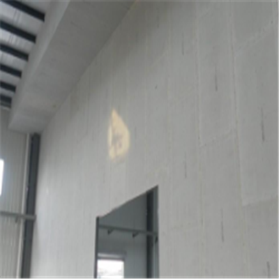 汝州宁波ALC板|EPS加气板隔墙与混凝土整浇联接的实验研讨